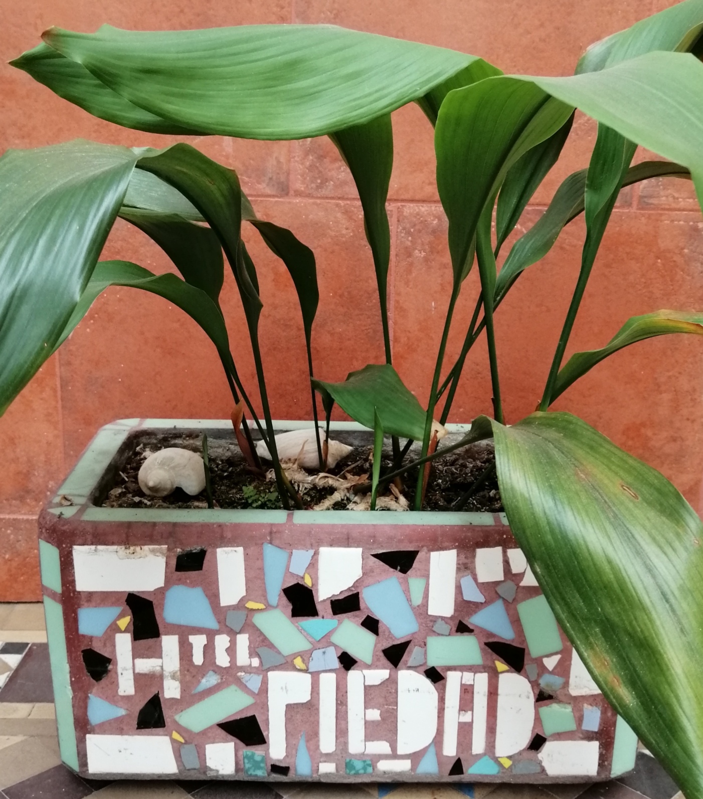 Habitación